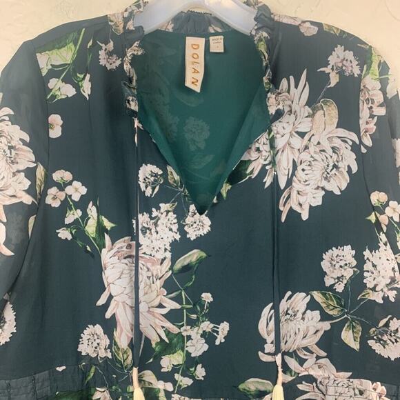 Anthropologie Dolan Maxi Dress Womens Small Green Floral Dark Romantic - Picture 3 of 9